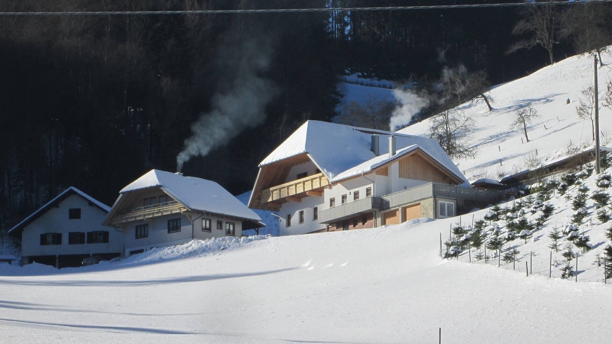 Oberharmersbach Apartment | Ferienwohnung, 50qm, 1 Schlafzimmer, max. 3 Personen