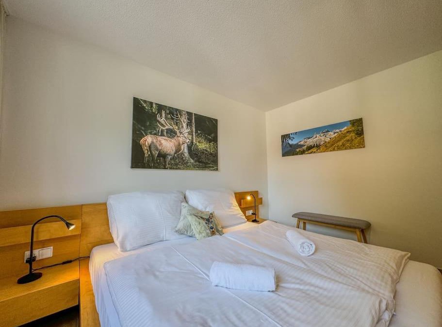 Bartholomaeberg Apartment | Ferienwohnung 5-Täler