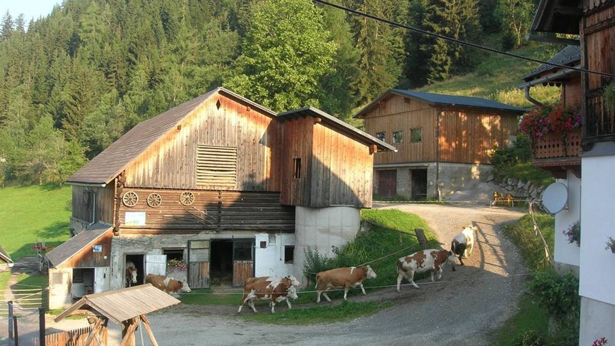 Aigen im Ennstal Apartment | Ferienwohnung Abendrot - Möslhof