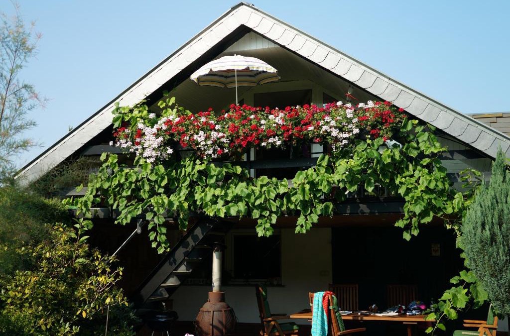 Waldstadt I Apartment | Ferienwohnung Am Fenn