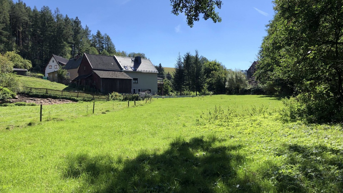 Krumhermersdorf Apartment | Ferienwohnung Am Hölzel