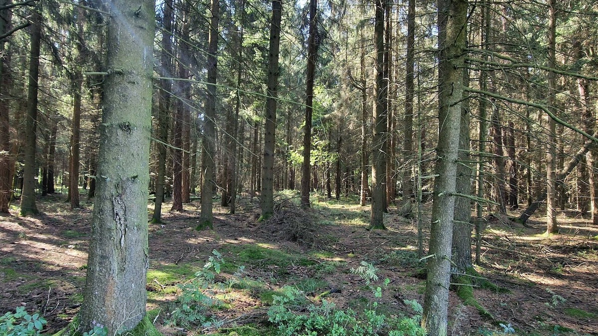 Pullenreuth Apartment | Ferienwohnung am Steinwald Radweg