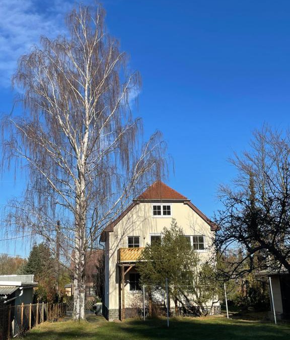 Grossschoenau Apartment | Ferienwohnung Am Wald