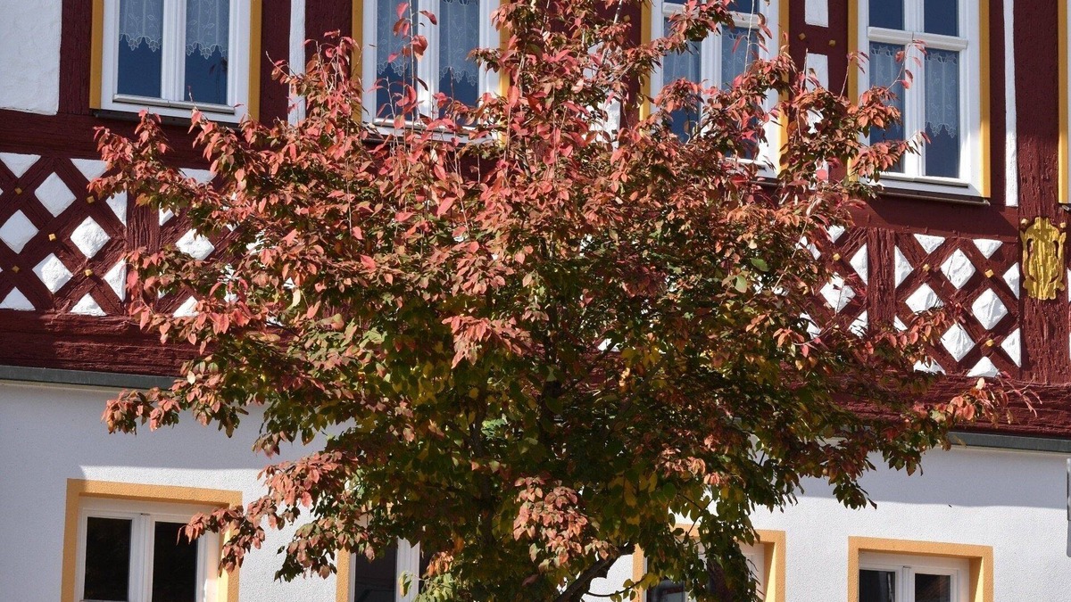 Bad Rodach Apartment | Ferienwohnung/app. für 6 Gäste mit 85m² in Bad Rodach