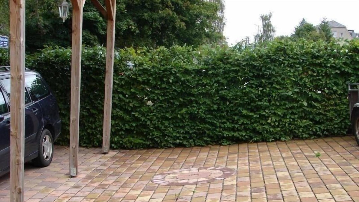 Bad Schlema Apartment | Ferienwohnung/app. für 4 Gäste mit 50m² in Bad Schlema