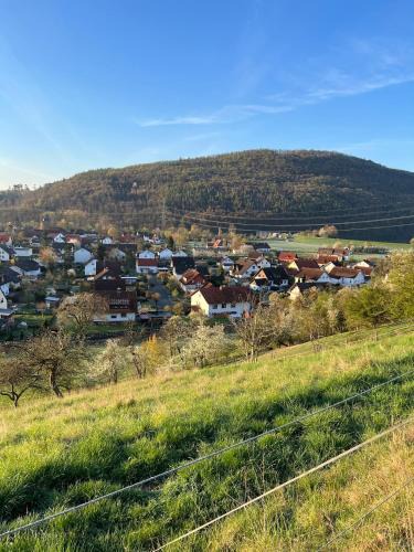 Waldeck Apartment | Ferienwohnung Arnstein Nr 1