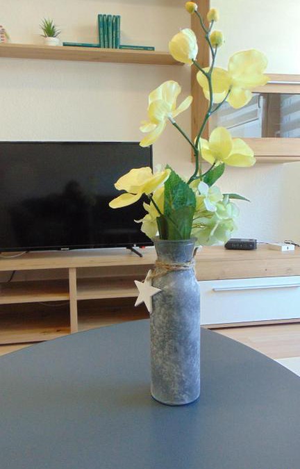 Gelenau Apartment | Ferienwohnung August 24