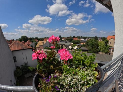 Bad Dueben Apartment | Ferienwohnung Ausblick
