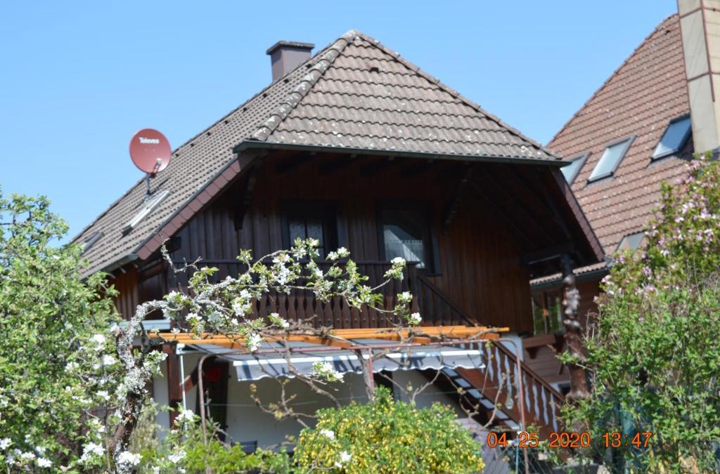 Gutach Apartment | Ferienwohnung Beim Holzmann