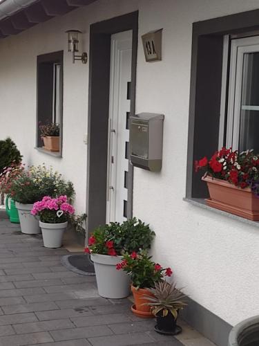 Nettersheim Apartment | Ferienwohnung Blumenparadies