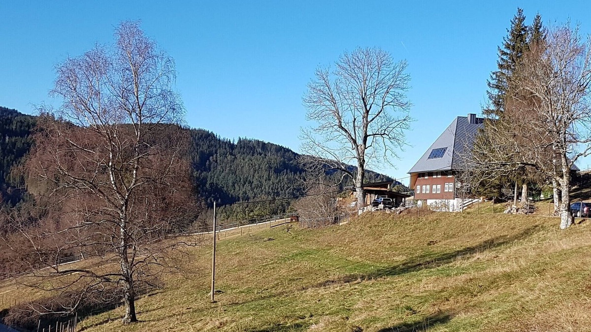 Triberg im Schwarzwald Apartment | Ferienwohnung "Bosse", 4 Schlafräume, max. 6 Personen