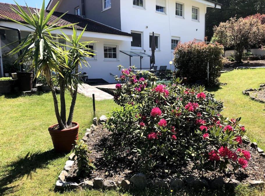 Hinterweidenthal Apartment | Ferienwohnung Braun