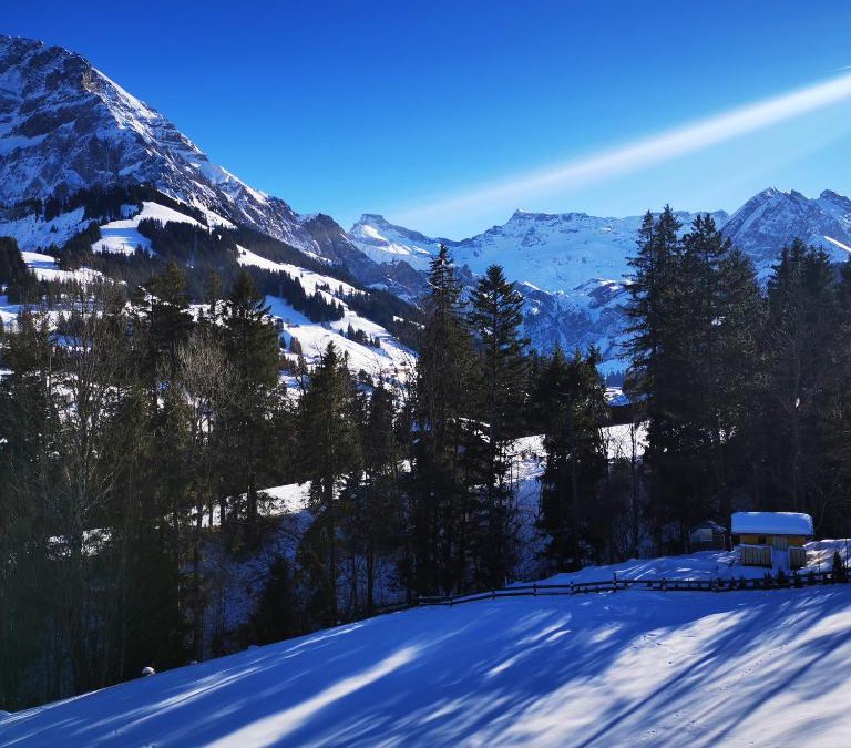 Adelboden Apartment | Ferienwohnung Crea