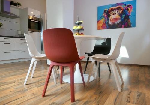 Ochsenhausen Apartment | Ferienwohnung David