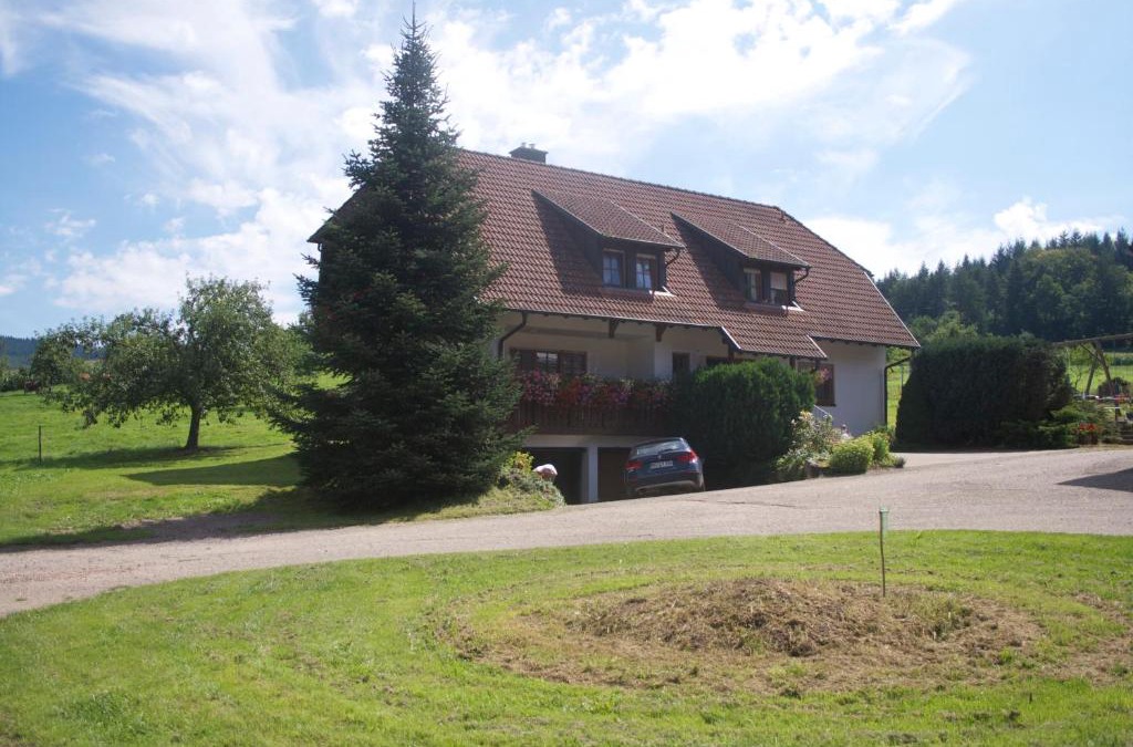 Seelbach Apartment | Ferienwohnung