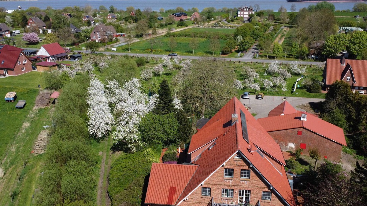 Krautsand Apartment | Ferienwohnung Elbblick - Elbblick