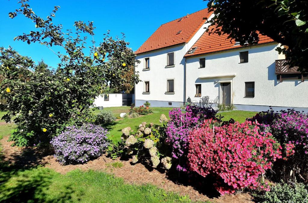 Laussnitz Apartment | Ferienwohnung Erika
