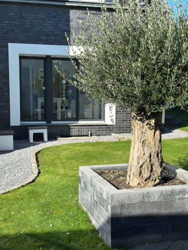 Kranenburg Apartment | Ferienwohnung Forstblick