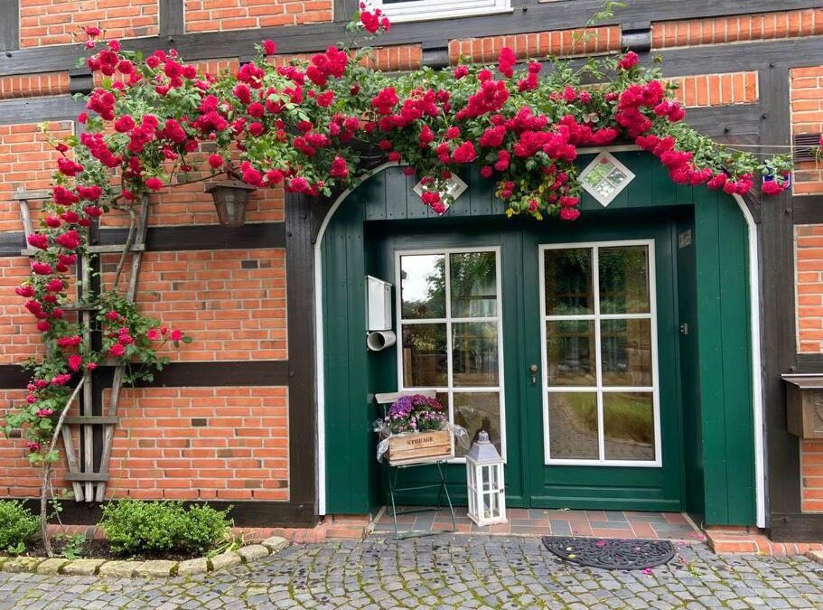 Daulsen Apartment | Ferienwohnung „Gartenblick“