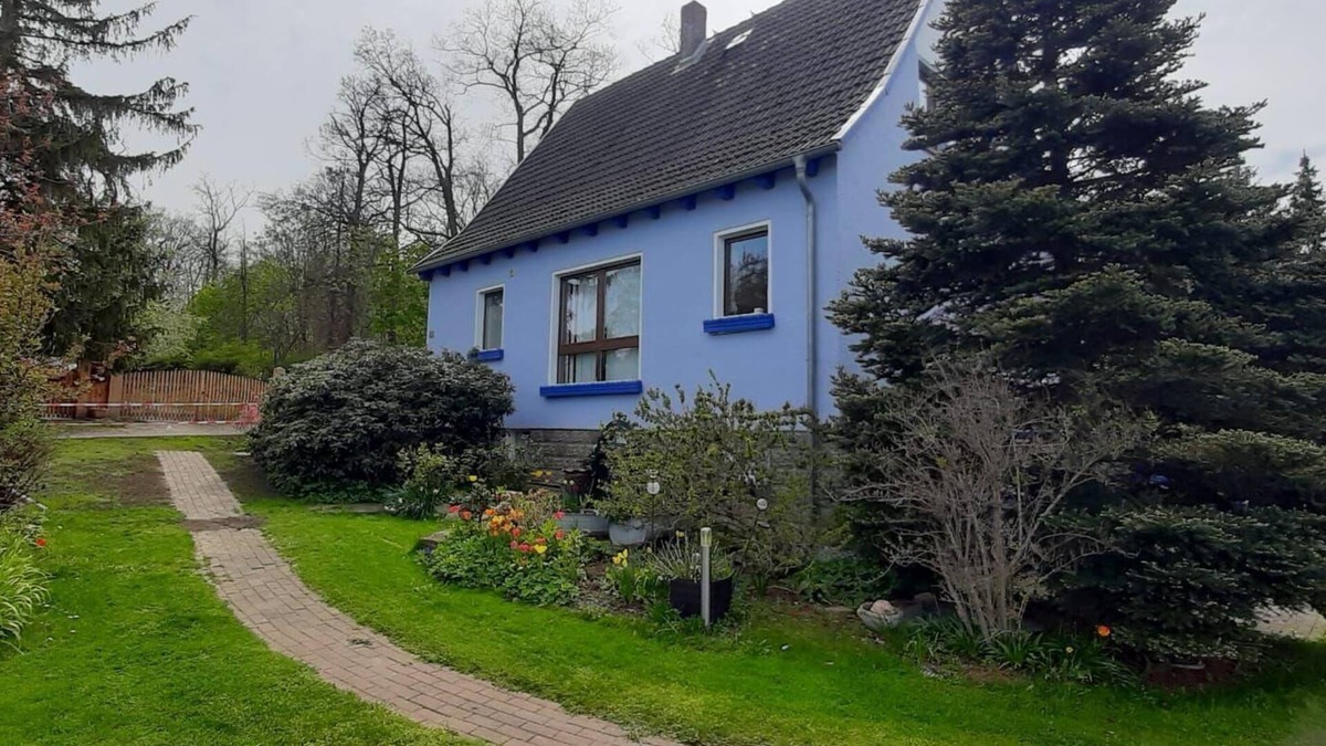 Wienrode Apartment | Ferienwohnung Haus am Wald