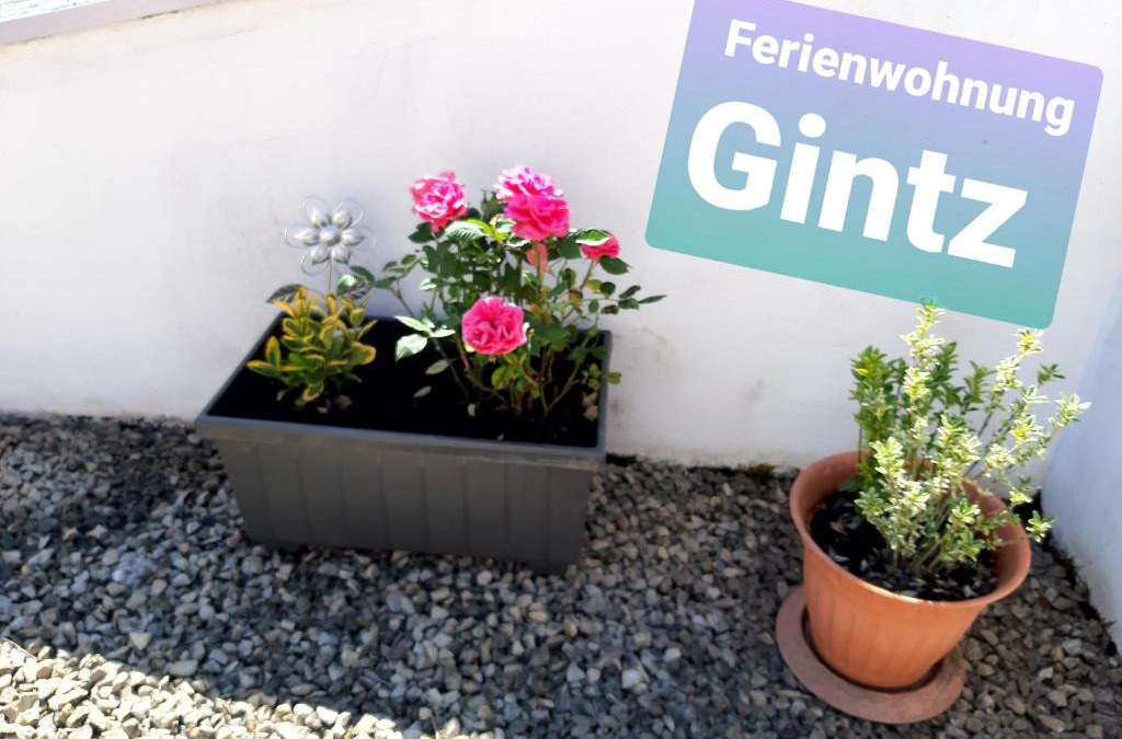 Blieskastel Apartment | Ferienwohnung Haus Gintz