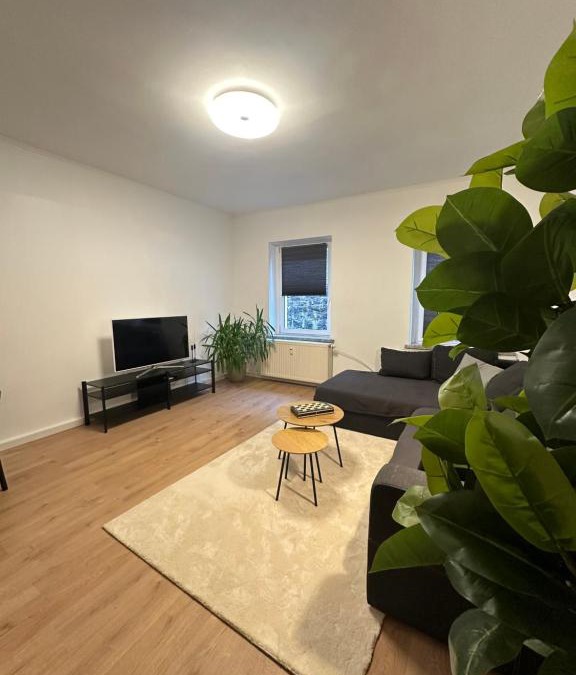 Aue Apartment | Ferienwohnung Haus Paraschiv