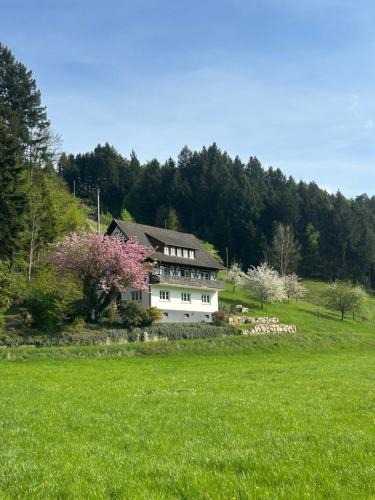 Oberkirch Apartment | Ferienwohnung Hesselbach
