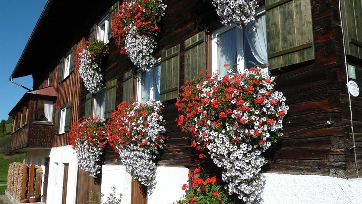 Vorderhindelang Apartment | Ferienwohnung Hornblick - Gästehaus Schaub