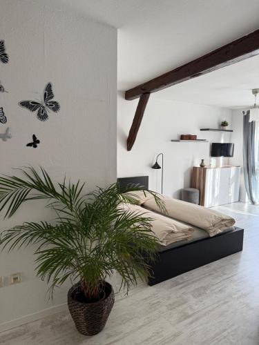 Grossbottwar Apartment | Ferienwohnung im Stadtkern Großbottwar