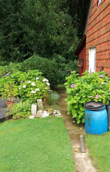 Stadthagen Apartment | Ferienwohnung Im Waldwinkel