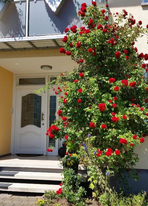 Sankt Wendel Apartment | Ferienwohnung Kirsch