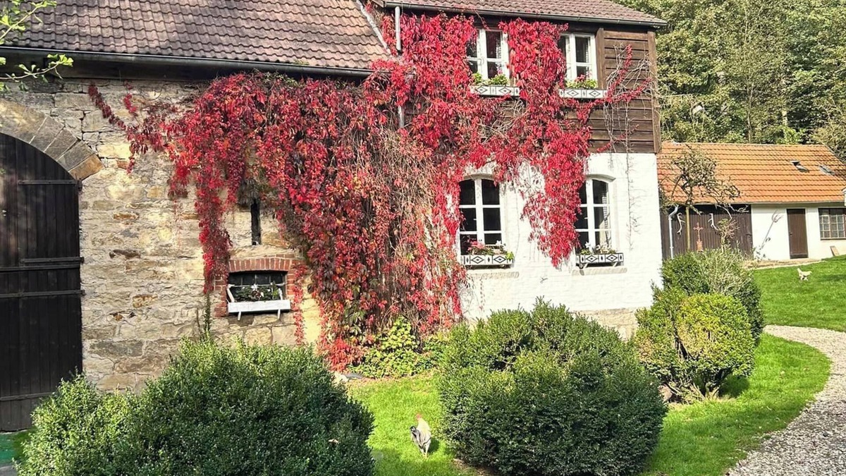Altenbeken Apartment | Ferienwohnung Kutscherstube auf dem Alten Forstamt im Teutoburger Wald