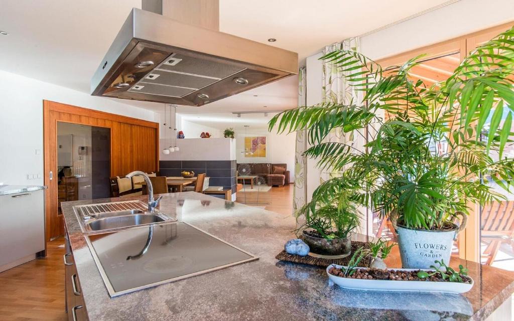 Schruns Apartment | Ferienwohnung Lifinar