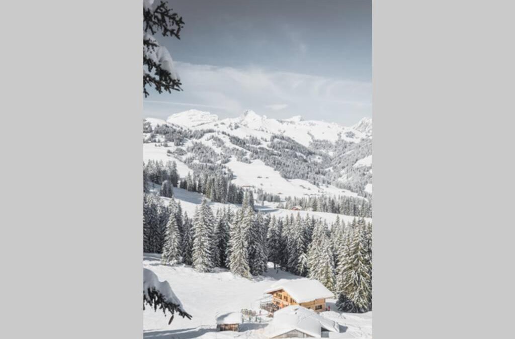 Saanenmoeser Apartment | Ferienwohnung Lochstafel