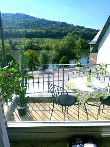 Merl Apartment | Ferienwohnung Moselblick Zell - Balkon und Gemeinschaftsterrasse