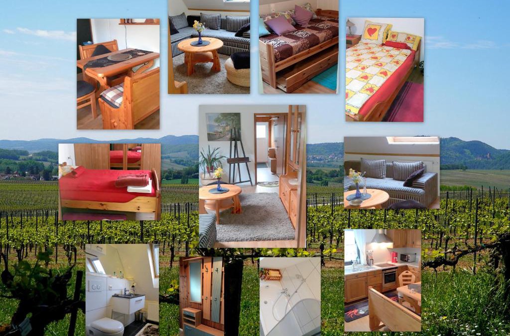 Lambrecht Apartment | Ferienwohnung/Monteurwohnung Meiser