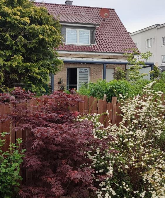 Kiel Apartment | Ferienwohnung Muggelig