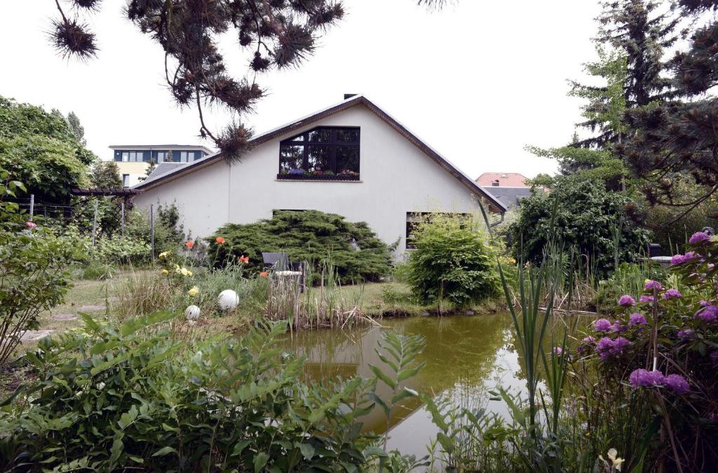 Oberloßnitz Apartment | Ferienwohnung Nessler