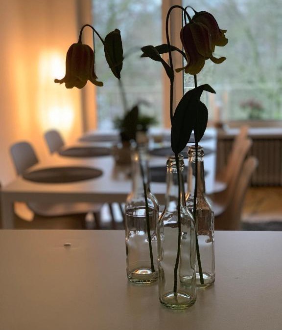 Bahnhofsvorstadt Apartment | Ferienwohnung Parkblick