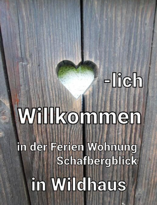 Wildhaus Apartment | Ferienwohnung Schafbergblick