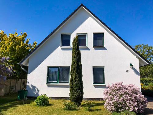 Freest Apartment | Ferienwohnung Seeadler