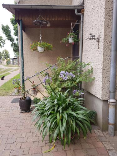Gnewikow Apartment | Ferienwohnung Siebmann