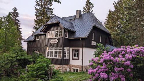 Baerenburg Apartment | Ferienwohnung Sorgenfrei