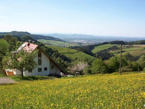 Horben Apartment | Ferienwohnung-Stadtblick