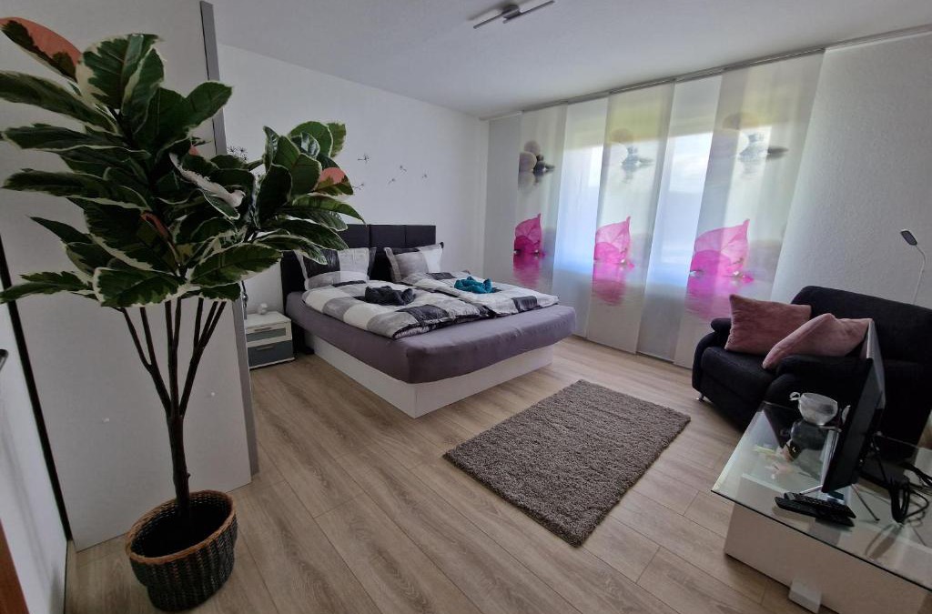 Barbis Apartment | Ferienwohnung Starennest mit direktem Harzblick