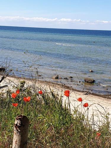 Zurow Apartment | Ferienwohnung Storchenblick