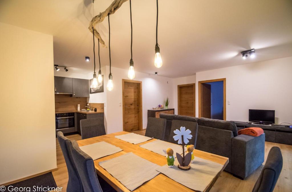 Trins Apartment | Ferienwohnung Strickner