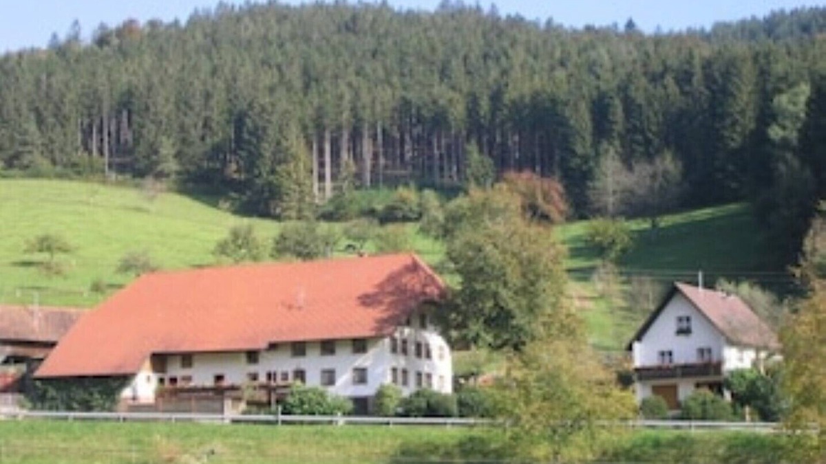 Elzach Condo | Ferienwohnung Talblick