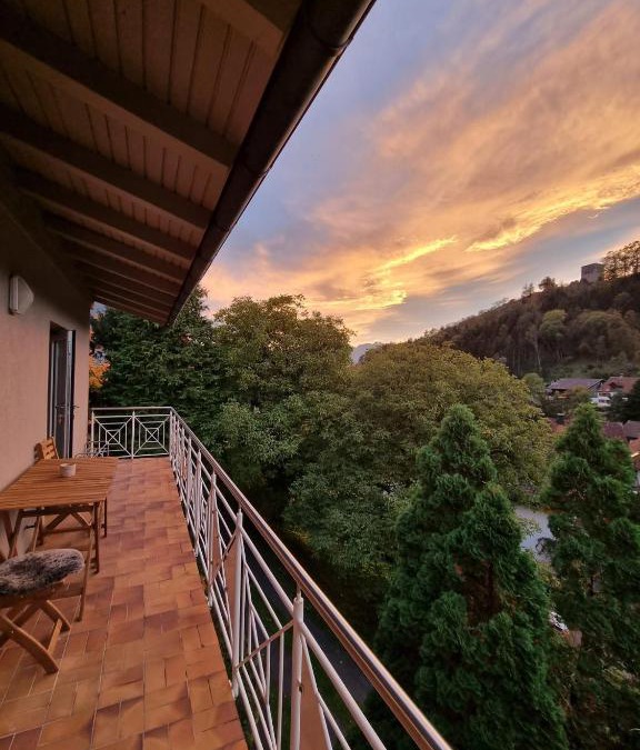 Toster Apartment | Ferienwohnung Tostner Burgblick