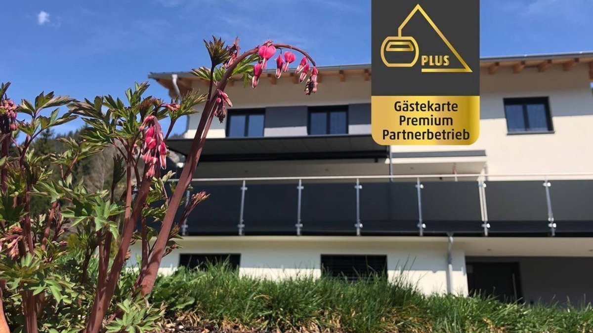 Wald am Arlberg Apartment | Ferienwohnung Wallner - Appartement/fewo, Dusche, WC, 1 Schlafraum